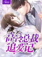高冷總裁追愛記