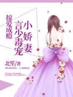掠愛成癮：言少毒寵小嬌妻