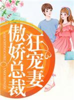 傲嬌總裁狂寵妻