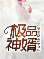 極品神婿