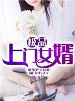 極品上門女婿