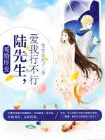 暖婚厚愛：陸先生，愛我行不行