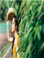 離婚之后：前夫迷惑行為