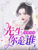 淺婚深陷：先生你是誰(shuí)