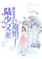 婚途漫漫：陸少又來逼婚了