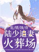危情蝕骨：陸少追妻火葬場