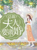 總裁，夫人要離婚