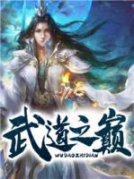武道之巔