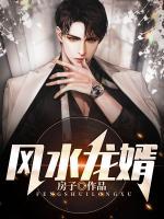 風水龍婿
