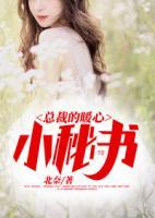 總裁的暖心小秘書(shū)