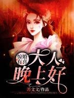 驚婚有喜：大人，晚上好