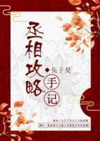 丞相攻略手記
