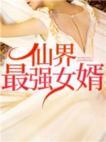 仙界最強女婿