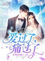 愛過了，痛過了