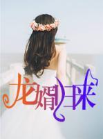 龍婿歸來