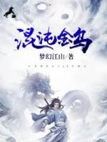 混沌金烏