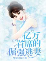 億萬首席的倔強(qiáng)逃妻