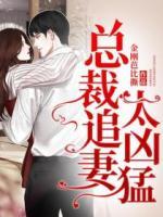 總裁追妻太兇猛