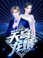 天穹龍婿