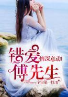 情深意動，錯愛傅先生