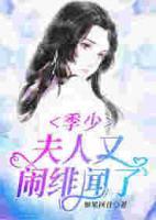 季少，夫人又鬧緋聞了