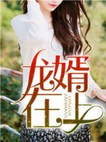 龍婿在上