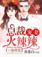 一胎兩寶，總裁寵妻火辣辣