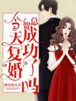 賀總，今天復(fù)婚成功了嗎