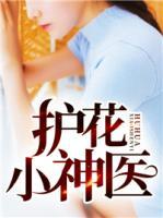 護(hù)花小神醫(yī)