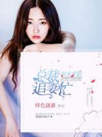 前夫求娶：總裁追妻忙