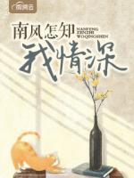 南風(fēng)怎知我情深