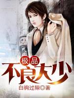 極品不良大少