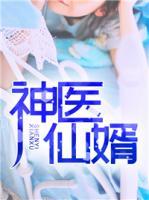 神醫(yī)仙婿