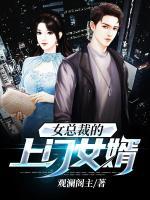 女總裁的上門女婿