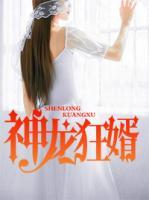 神龍狂婿