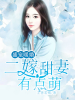 盛寵暖婚：二嫁甜妻有點萌