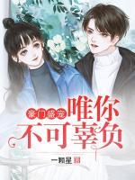 豪門盛寵：唯你不可辜負