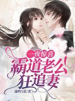 一夜驚喜：霸道老公狂追妻
