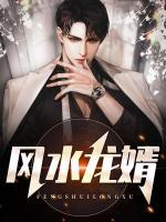 風水龍婿