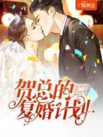 賀總的復(fù)婚計劃