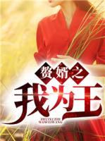 贅婿之我為王