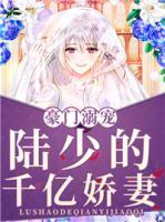豪門溺寵：陸少的千億嬌妻