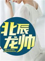 北辰龍帥