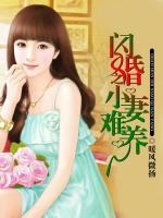 閃婚之甜妻難養(yǎng)