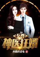 至尊神醫(yī)狂婿