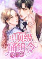 岑少的頂級(jí)通緝令
