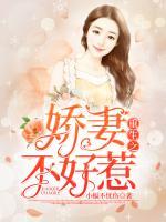 重生之嬌妻不好惹