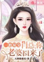 一胎雙寶：肖總，你老婆回來了