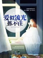 愛(ài)似流光抓不住