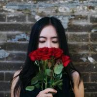 戀上青梅：周少追妻套路深